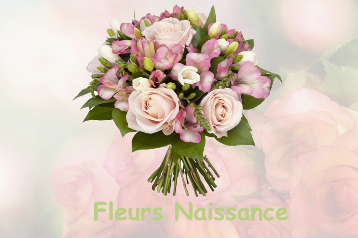 fleurs naissance VAUX-SUR-SEULLES